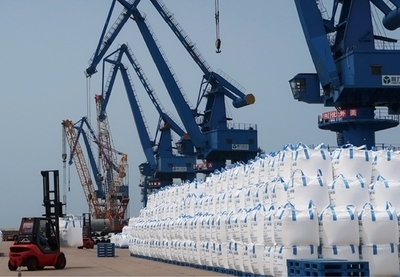 Hot Sales Purified Terephthalic Acid PTA CAS No.100-21-0 for PET Production